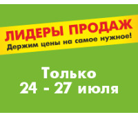 ЛИДЕРЫ ПРОДАЖ 24.07.2025 - 27.07.2025